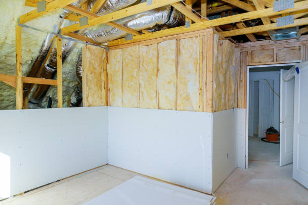 Best Spray Foam Insulation  in Ivins, UT