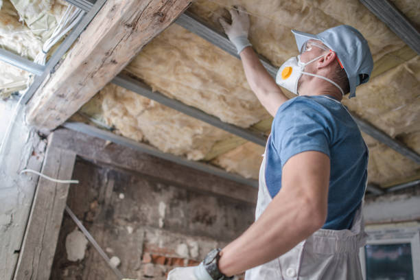 Best Insulation for Commercial Buildings  in Ivins, UT