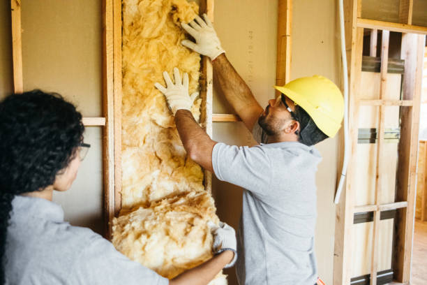 Best Attic Insulation Near Me  in Ivins, UT