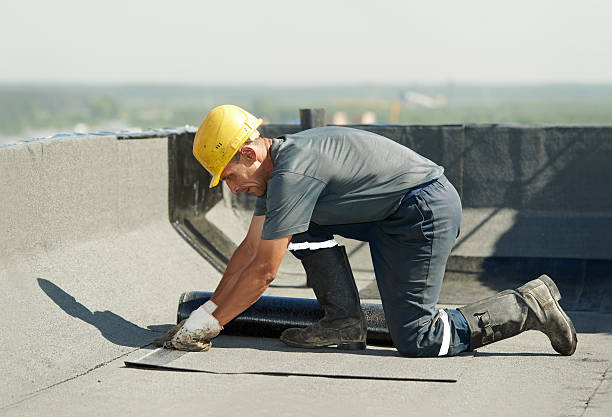 Best Insulation Contractors for Homes  in Ivins, UT