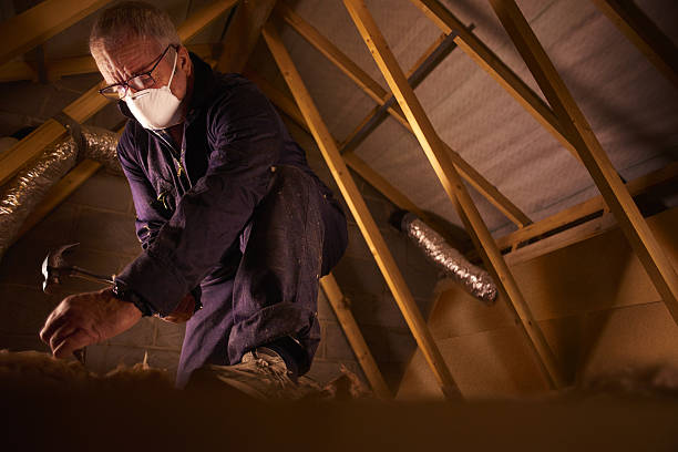 Best Attic Insulation Installation  in Ivins, UT